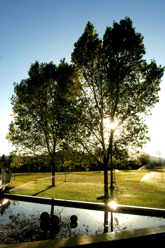 vista general del jardin